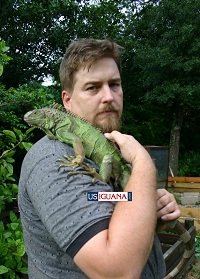 Green Iguana